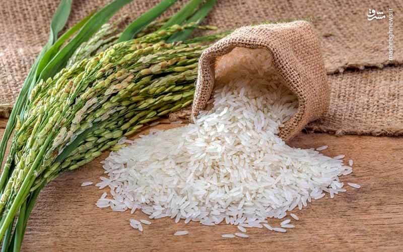 خرید عمده برنج ممتاز رستم ( فجر )